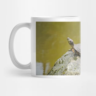 Turtle Mug